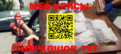 стафф Кингисепп
