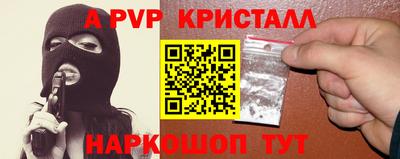стафф Кингисепп