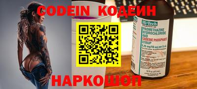 стафф Кингисепп