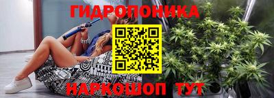 стафф Кингисепп