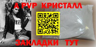 стафф Кингисепп