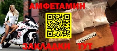 стафф Кингисепп