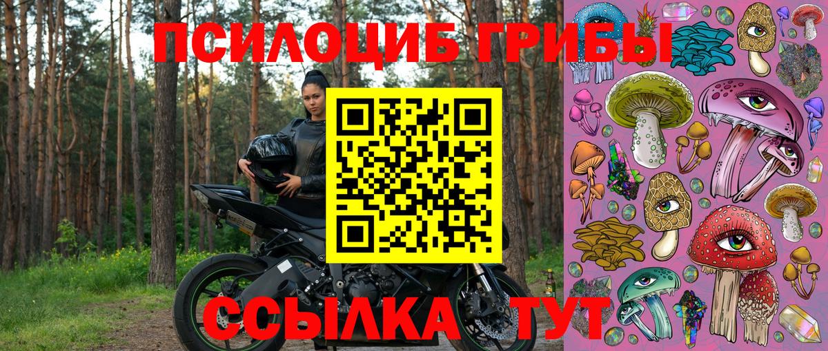 Псилоцибиновые грибы Cubensis Бугуруслан